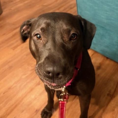 Photo for 153623 [Sheila]