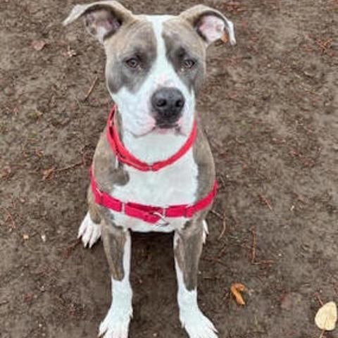 Photo for 153656 [Kramer]