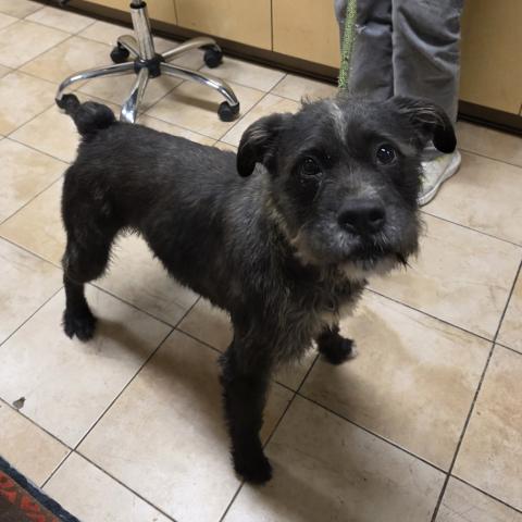 Photo for 153694 [Julio]