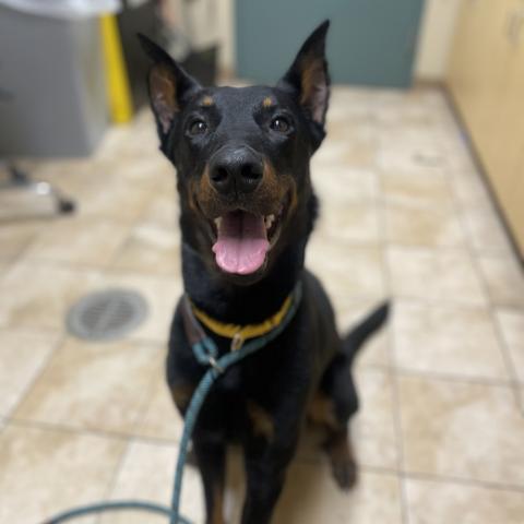 Photo for 153784 [Cal]