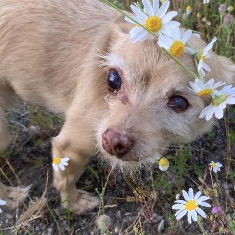 Photo for 153794 [Ru]