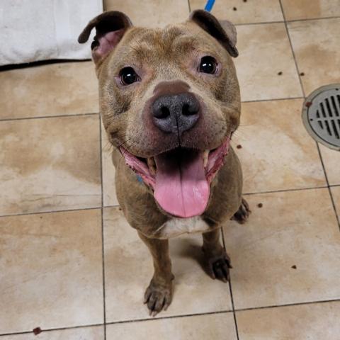 Photo for 153800 [Teddy Graham]