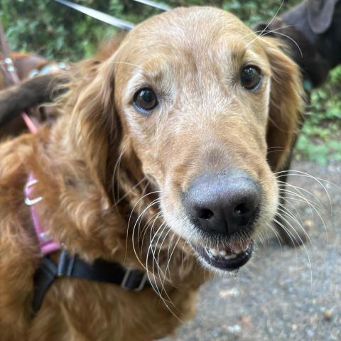 Photo for 153808 [Ella]