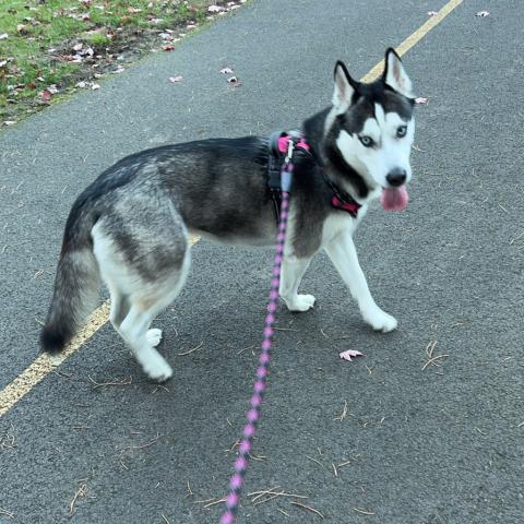 Photo for 153902 [Nylah]