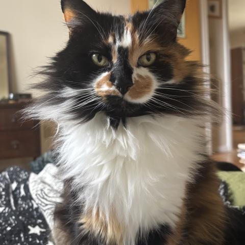 Photo for 153906 [Bug]