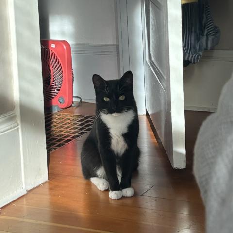 Photo for 153918 [Benny]