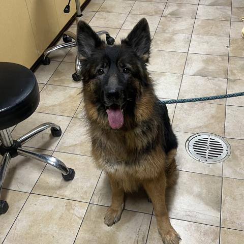 Photo for 153953 [Hakuna Matata]