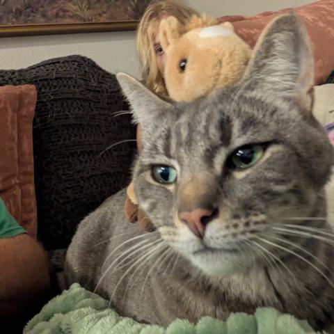 Photo for 153959 [Kiki]