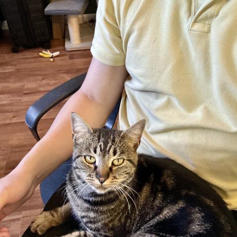 Photo for 153987 [fr153987]