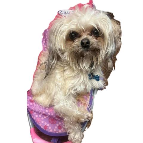 Photo for 153998 [Gravy]