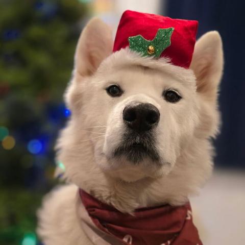 Photo for 154044 [Frozen]