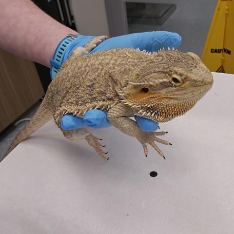 Photo for 154079 [377583]