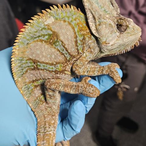 Photo for 154083 [377585]