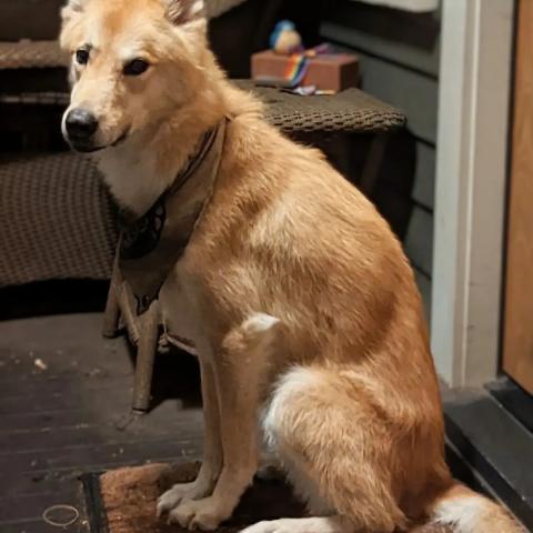 Photo for 154090 [Teeka]