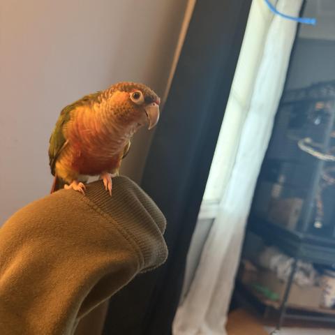 Photo for 154096 [Pretty boy ]