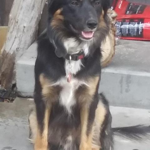 Photo for 154102 [Legend]