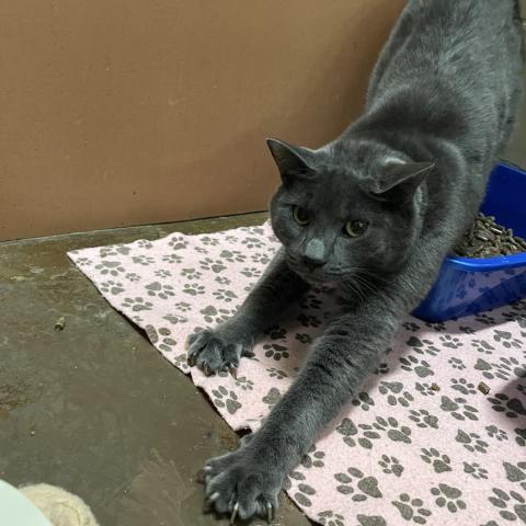 Photo for 154121 [Ebenezer]