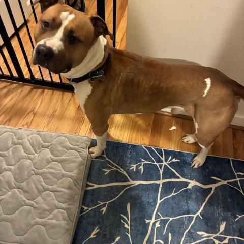 Photo for 154147 [Charly]