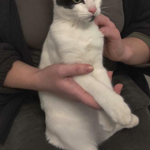 Photo for 154157 [fr154157]