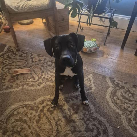 Photo for 154160 [fr154160]