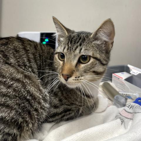 Photo for 154164 [Joy]