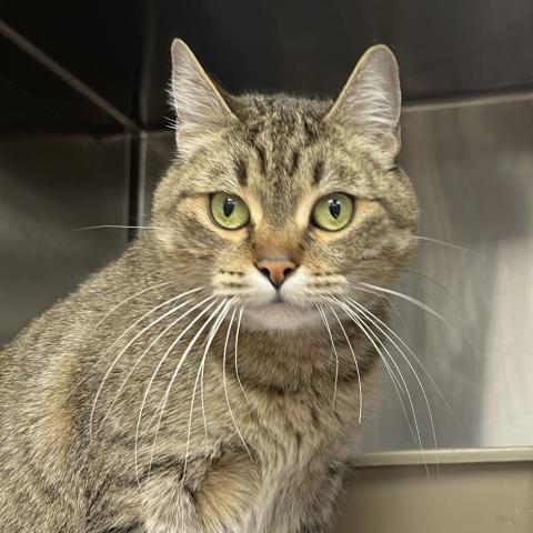 Photo for 154166 [Leelo]