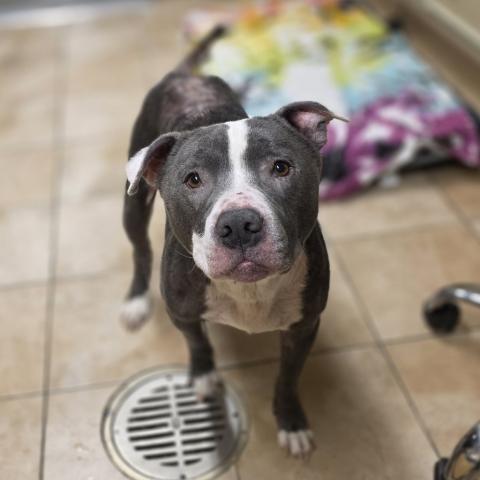 Photo for 154168 [Zeus]