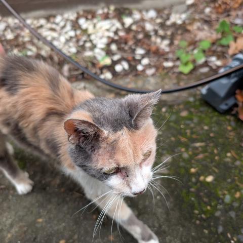 Photo for 154176 [fr154176]