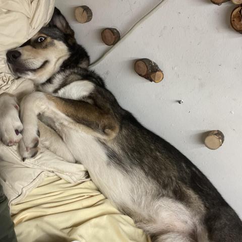 Photo for 154185 [Donut]