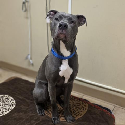 Photo for 154212 [Baby Huey]