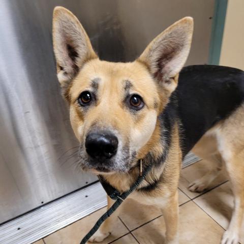 Photo for 154222 [Carie Hartt]