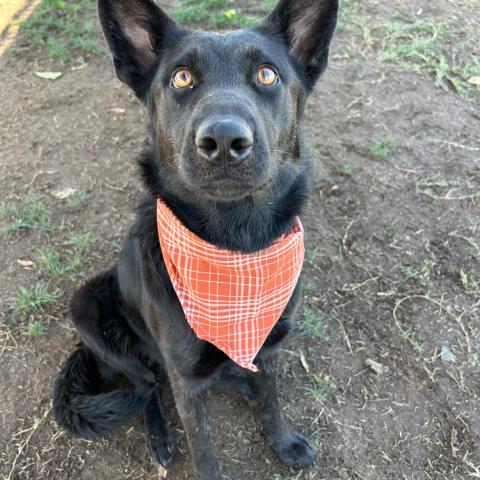 Photo for 154246 [Elisa]