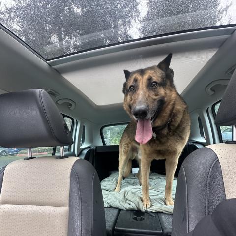 Photo for 154280 [Unknown]