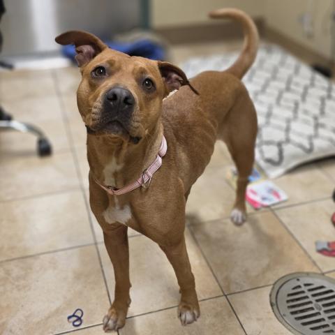 Photo for 154308 [Samantha]