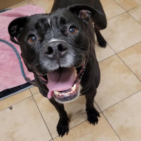 Photo for 154333 [Griffey]