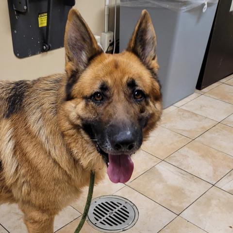 Photo for 154335 [Titan]