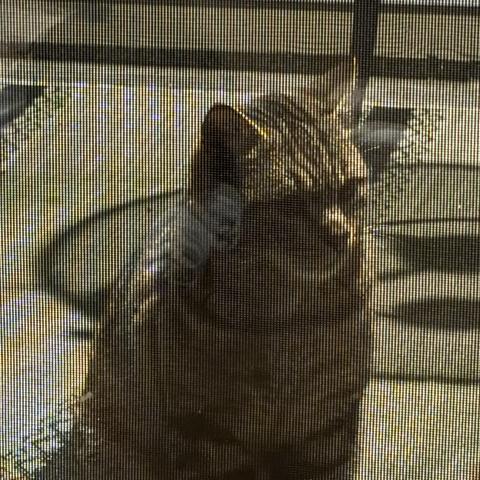 Photo for 154366 [fr154366]