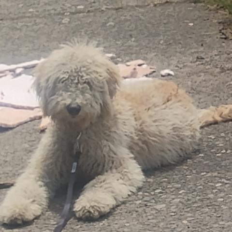 Photo for 154368 [Kamper]