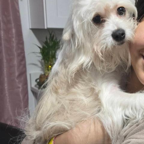 Photo for 154401 [Principe]