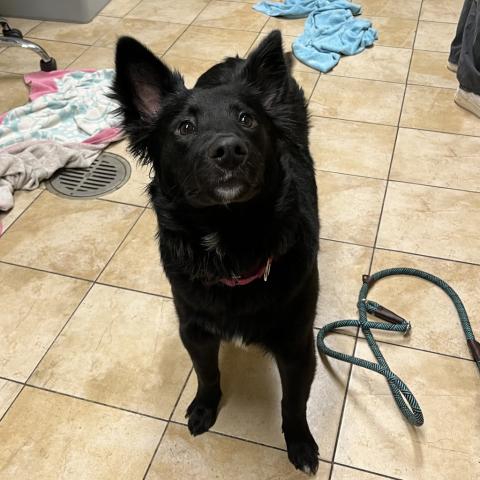 Photo for 154418 [Noel]