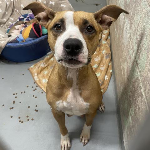 Photo for 154431 [Arree]