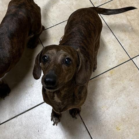 Photo for 154472 [Bert]