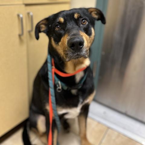 Photo for 154480 [Boden]