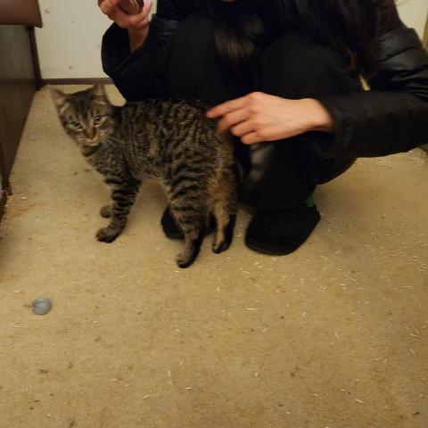 Photo for 154520 [Ubknown]