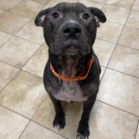 Photo for 154542 [Max]