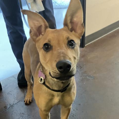 Photo for 154546 [Hailey]