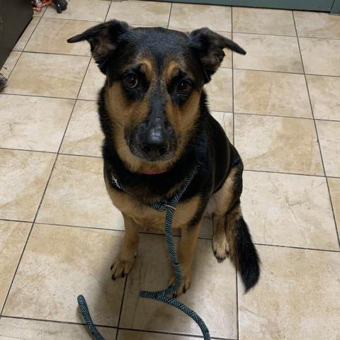 Photo for 154566 [Missy]