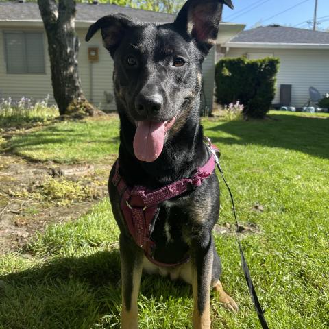 Photo for 154568 [Bella]