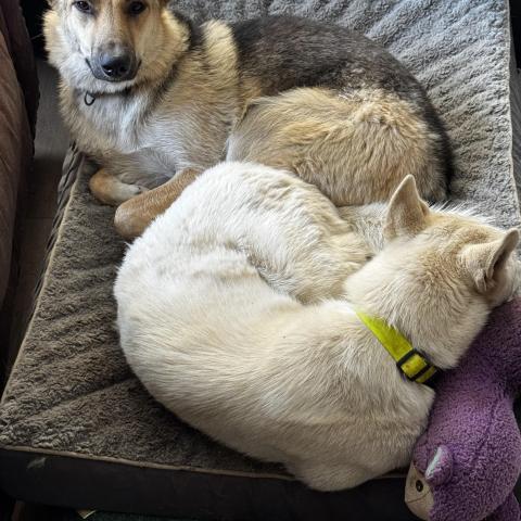 Photo for 154570 [Sashimi]