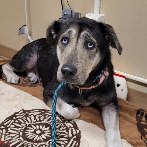 Photo for 154646 [Tyr]